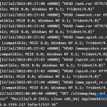 nginx禁止文件下载防止服务器被恶意扫描-飞鱼博客
