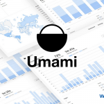 使用Docker自建一个简洁美观的网站统计（分析）Umami-飞鱼博客
