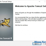windows服务器上安装多个tomcat-飞鱼博客