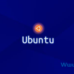 Ubuntu系统安装好无法连接网络怎么回事-飞鱼博客