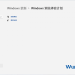 Windows预览体验计划空白怎么办？Windows预览体验计划空白解决方法-飞鱼博客