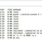 一行代码创建一个可执行命令的 Web 服务器-飞鱼博客