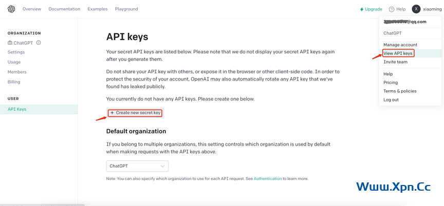 国内ChatGPT API Key申请使用及虚拟信用卡充值教程