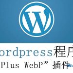 WordPress安装Plus WebP插件将图片格式转换为webp-飞鱼博客