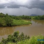 泰国尝试以自然为基础的水资源管理来适应气候变化-飞鱼博客